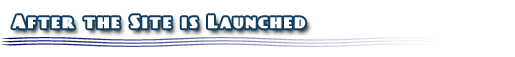 After the Site is Launched - Website Maintenance