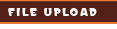 File Upload